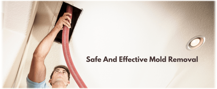 Air Duct Mold Removal in Cedar Hill