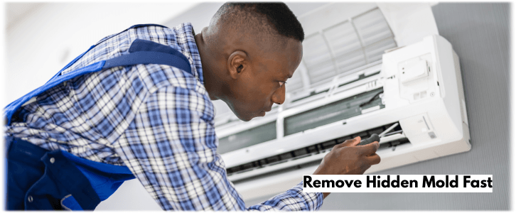 HVAC Mold Removal Cedar Hill